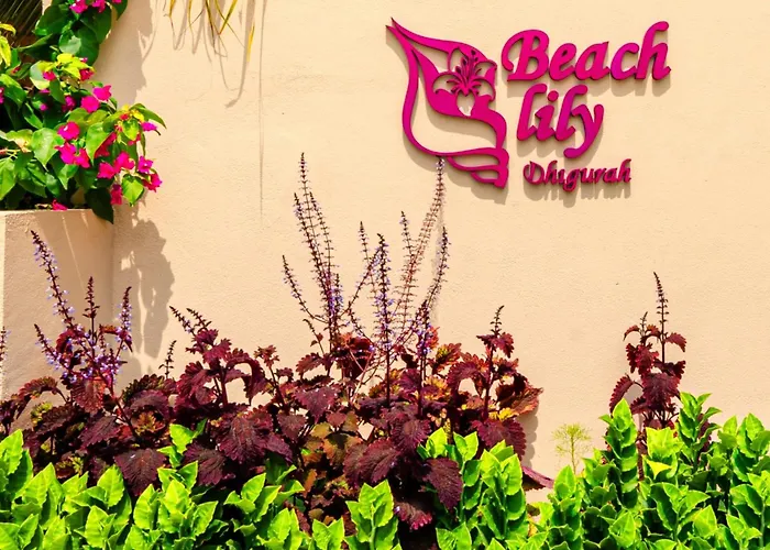 Beach Lily Dhigurah Dhigurah 