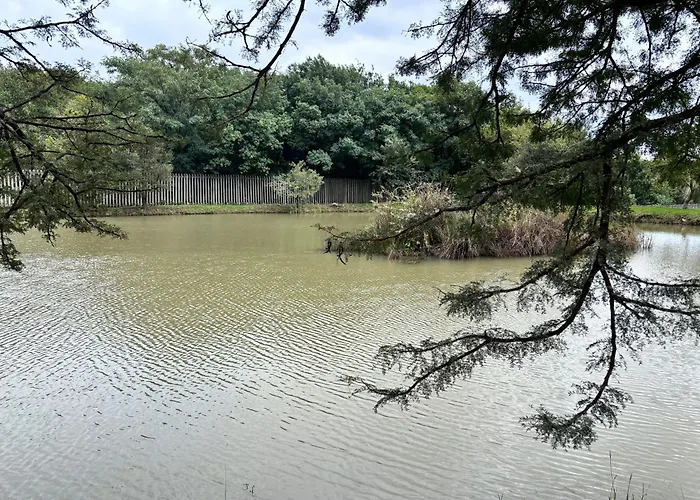 Shatisky Serene Escape Pretoria
