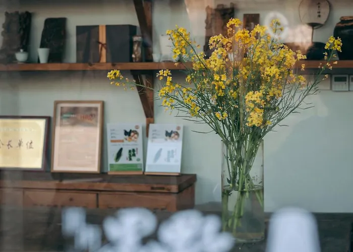 Hongcun Old Street Country House Huangshan