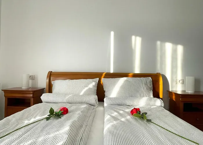 Bella Vista Green Apartment Brasov