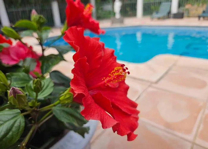 Les Jardins Du Patriarche Hotel Agde