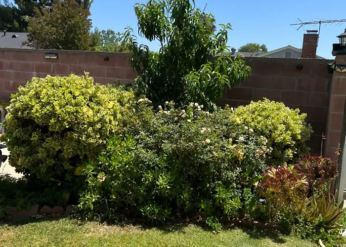 Just The Two Of Us -Romantic Pool View And Private Entry Sleeps 2 Near Csun Csun Los Angeles