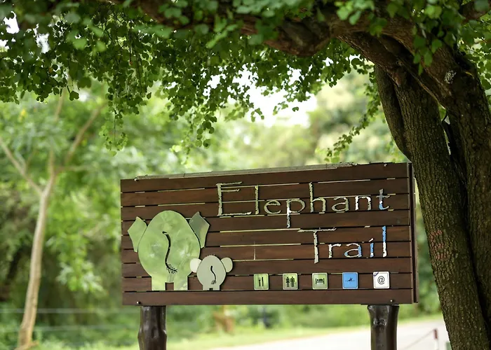 Elephant Trail Udawalawe