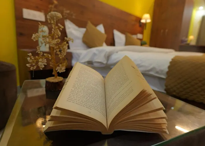 Vedartha Trails Hostel Rishikesh