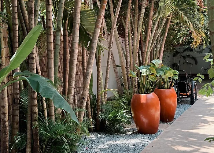 Maison 557 Siem Reap