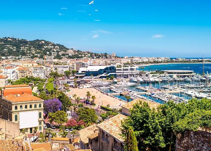 La Suite Du Festival Cannes