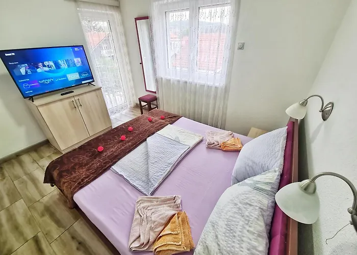 Vila Aleksandra 2 Apartman 10 Soko Banja