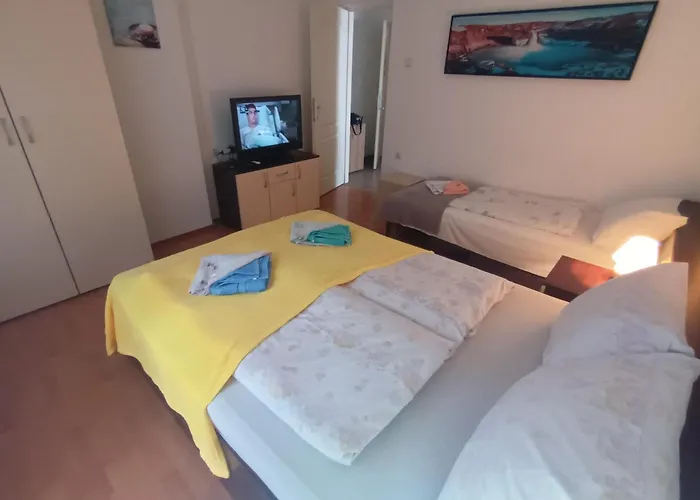 Maja Vujkovic Apartman 1 Soko Banja