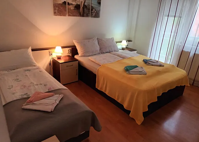 Maja Vujkovic Apartman 1 Soko Banja