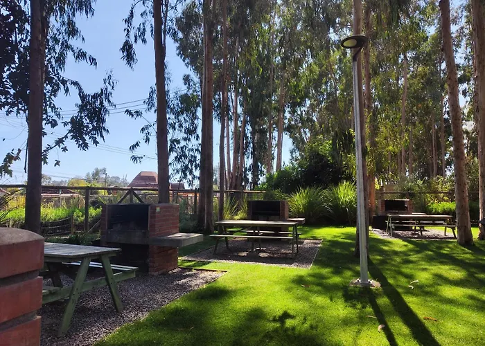 Departamento En Algarrobo Apartment