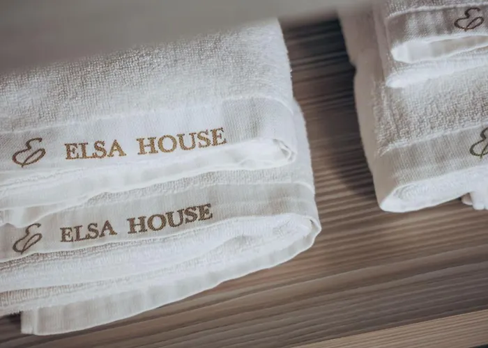 Elsa House Hotel Tainan
