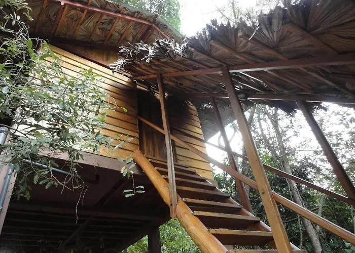 Inn On The Tree Sigiriya