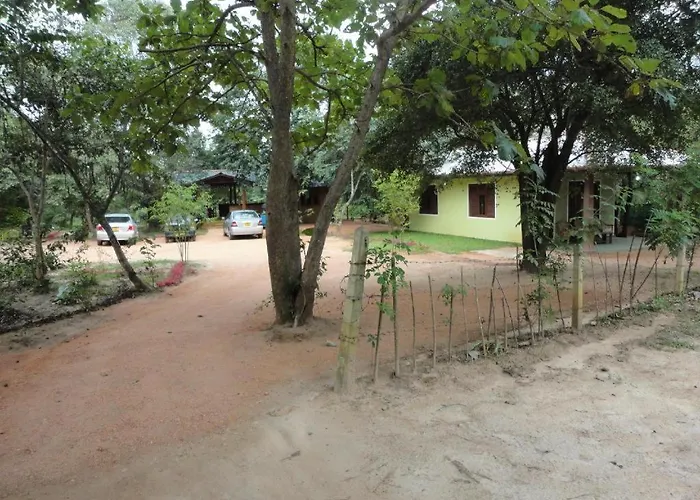 Inn On The Tree Sigiriya