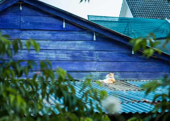Dual Views Of Garden & Greenhouse - September Garden Da Lat
