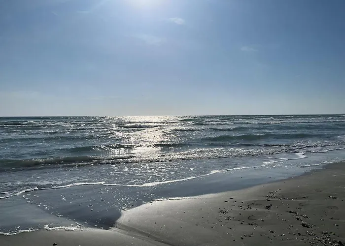 Apartments Excelsior Mamaia Nord Navodari