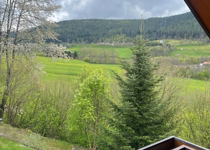 Im Tannenblick Apartment Baiersbronn