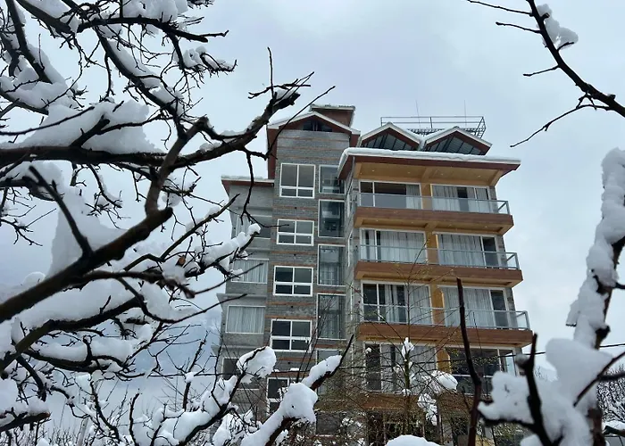 The Ravasa Hotel Manali 