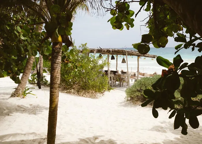 Casa Violeta Hotel Tulum