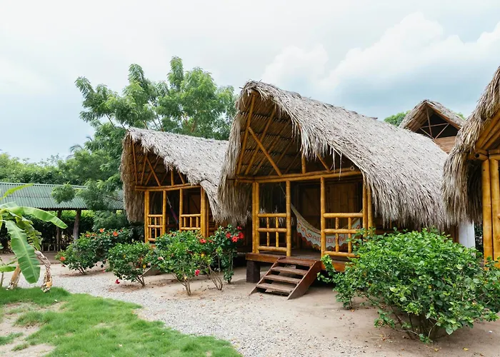 Hostal La Finquita Palomino