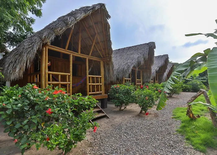 Hostal La Finquita Palomino
