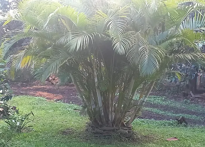 Cabanas Rapanui Keka Hanga Roa