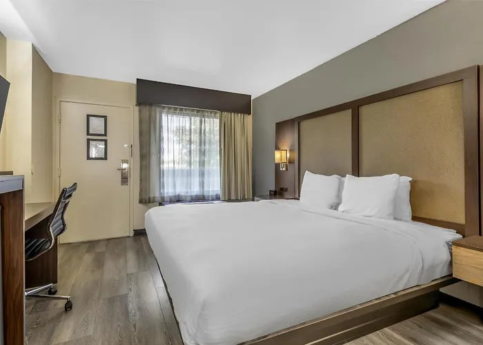 Best Western Salisbury Plaza