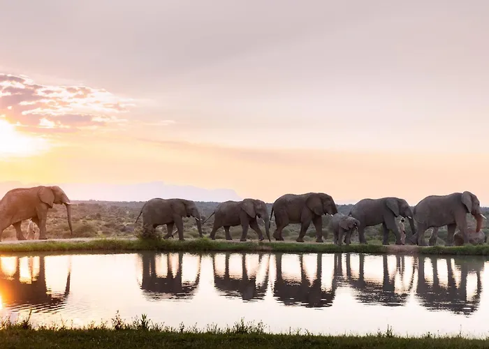 Jabulani Safari Relais & Chateaux Kapama Game Reserve