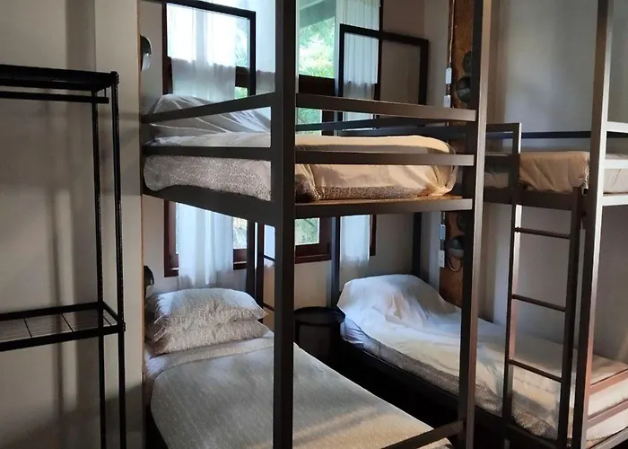 Chiang Mai D Hostel