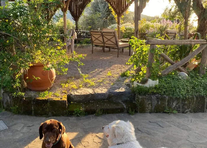 Agriturismo L'Olivara Piano di Sorrento