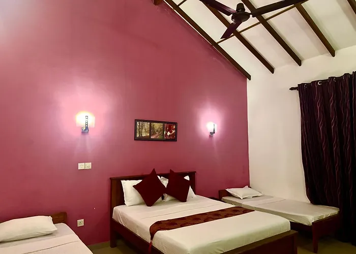 Ziegler Cottage Negombo