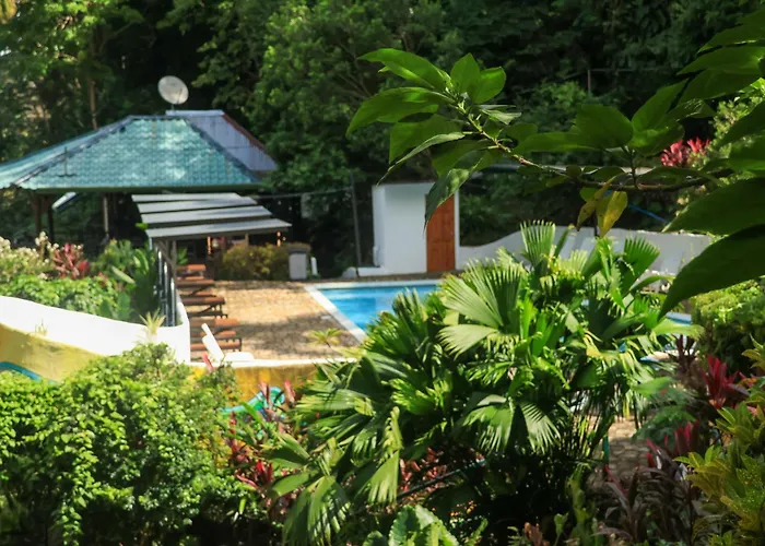 Hostel Plinio Manuel Antonio