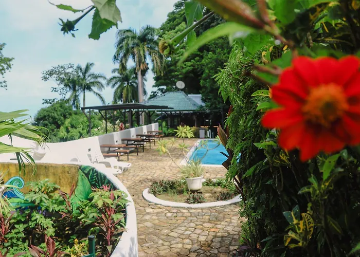 Hostel Plinio Manuel Antonio