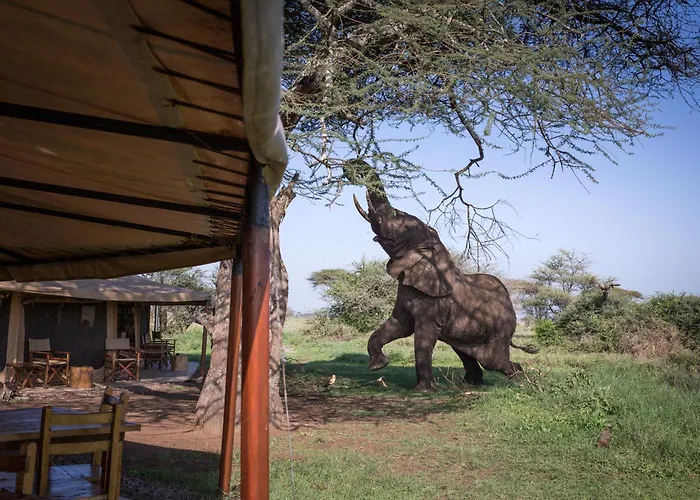 Mawe Tented Camp Serengeti
