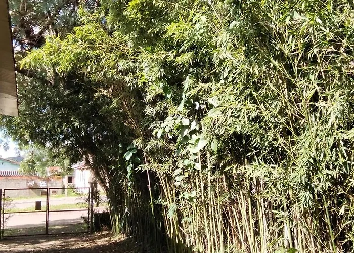 Estudio Bambuzal No Centro Alto Paraíso de Goiás