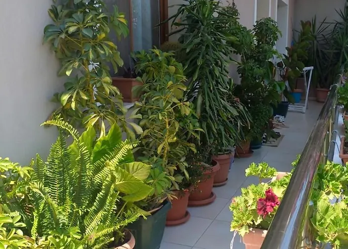 Dajti View Ap Apartment Tirana