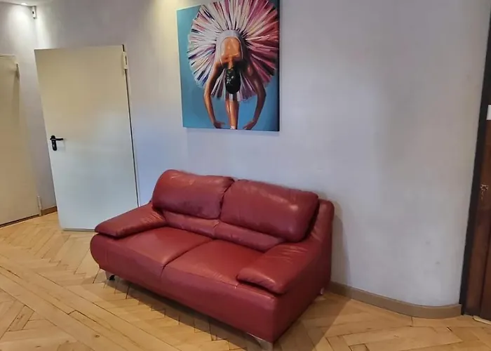Luxueux 5 Pieces A Carouge Apartment Geneva