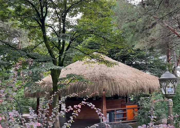 Dreamland Oasis Sea View Studio With Garden Chakvi