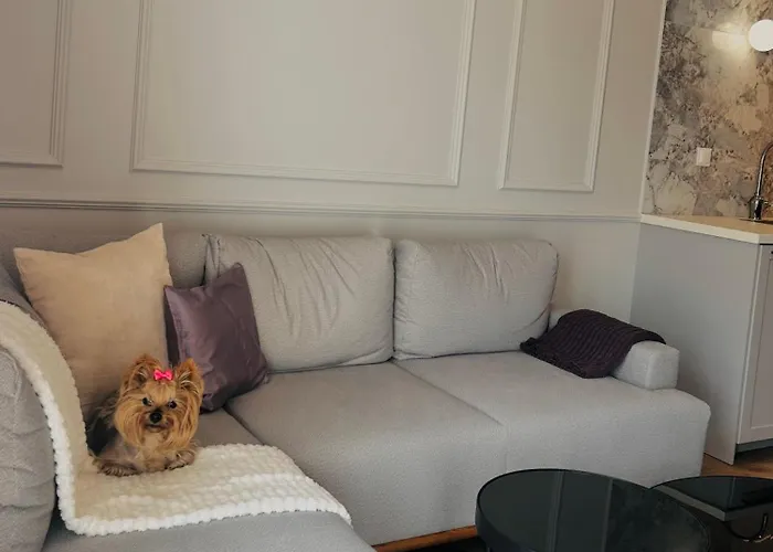 Downtownapartments Rzeszow