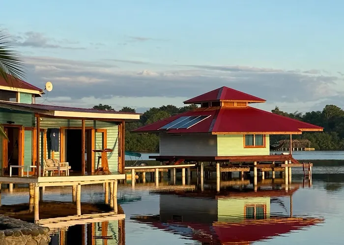 Dolphin Blue Paradise Bocas Town