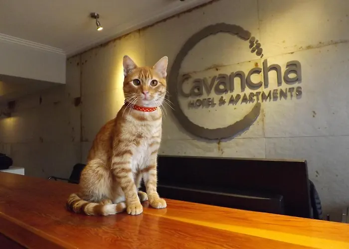 Gran Cavancha Hotel & Apartment Iquique