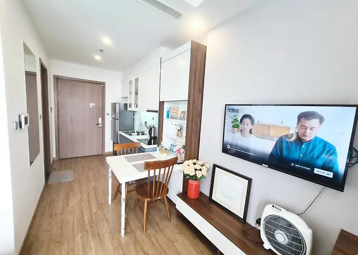 Great Studio Apt Near My Dinh Stadium And Marriott Hotel Hanoi