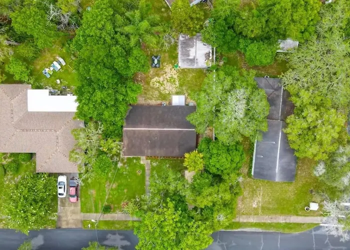 Walk To Usf 4Br3Ba House Yard & Bbq Villa Tampa