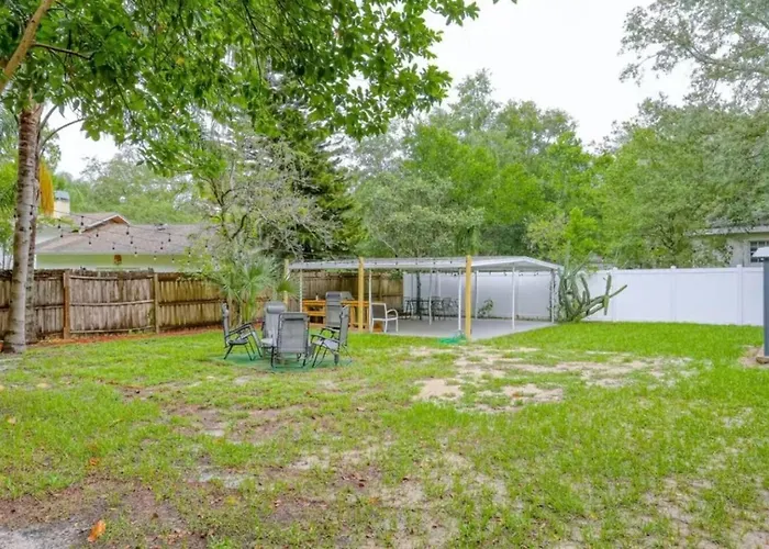 Walk To Usf 4Br3Ba House Yard & Bbq Villa Tampa