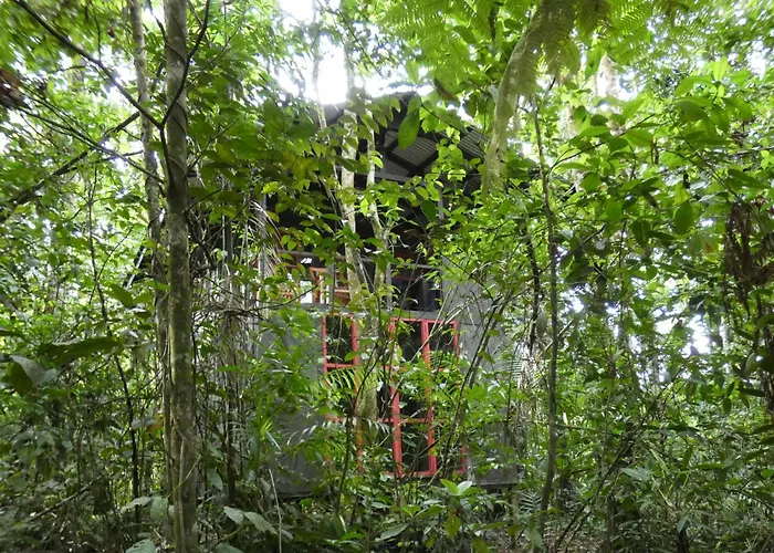 Yatama Rainforest Ecolodge Sarapiquí
