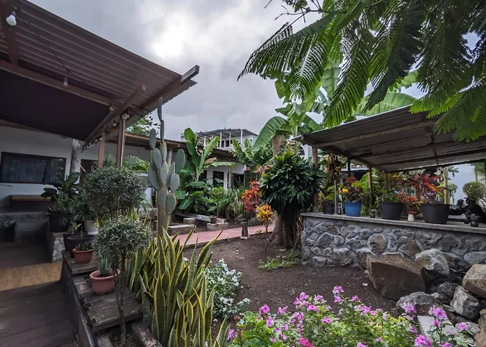 Galapagos Morning Glory Hostel Puerto Ayora 