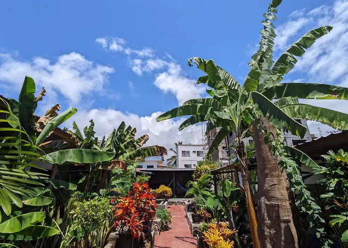 Galapagos Morning Glory Hostel Puerto Ayora 