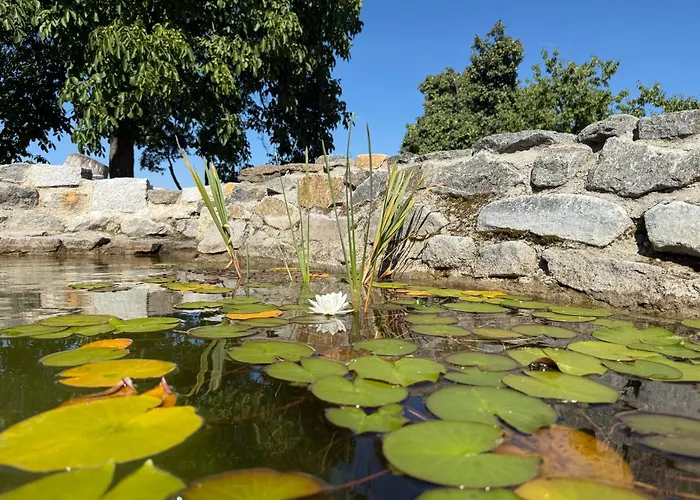 Apartments Near Tabor Zoo With Free Parking