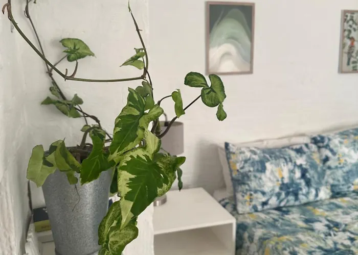 Corner Cottage - All To Yourself Durban