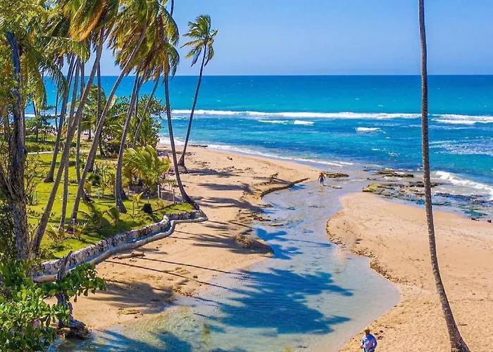 Beach Bungalow 100 M Playa Coson Las Terrenas