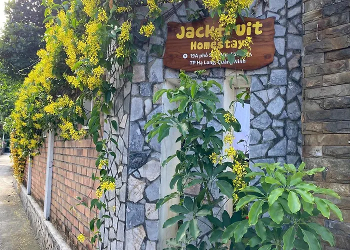 Jackfruit Homestay Ha Long